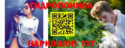 трава Гусь-Хрустальный